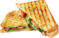 Panini
